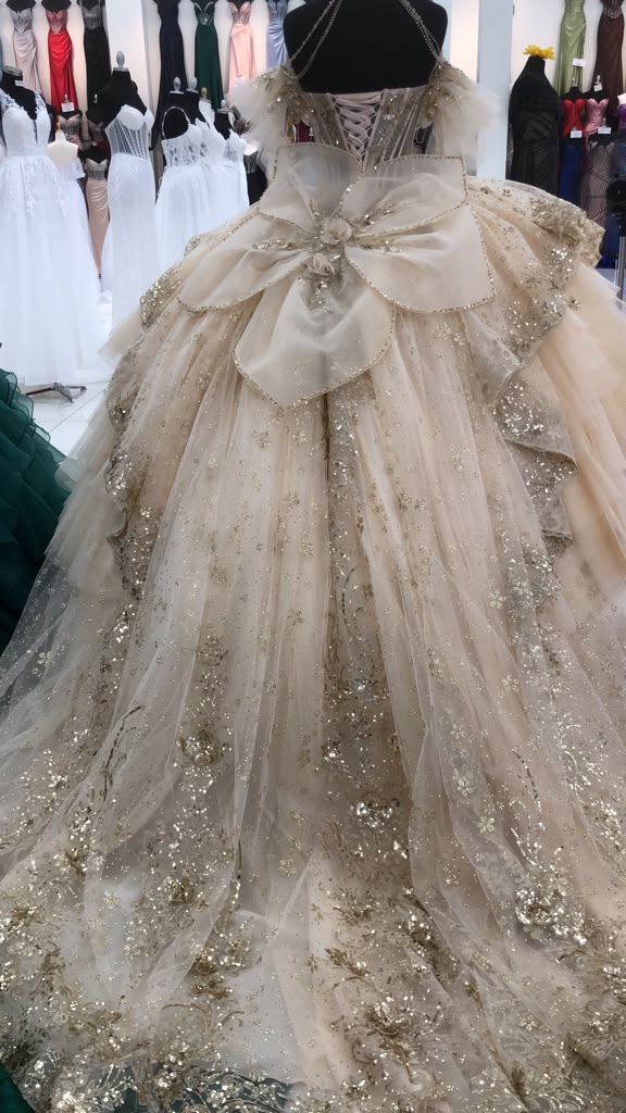 LK317 Vestido de gala de Quinceañera con falda completa