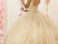 Vestido de gala de Quinceañera LK180 sin mangas con corsé bordado