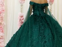 May Queen LK184 - Off-Shoulder 3D Floral Embellished Ballgown